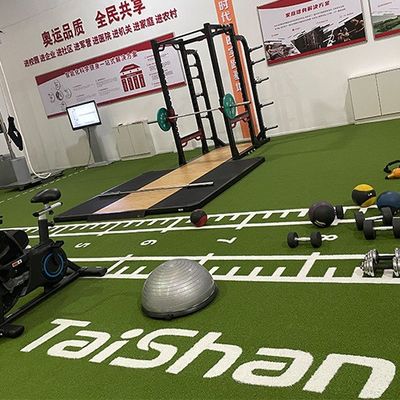 19mm Hav Yüksekliği UV Dayanımlı Desenli Yapay Çim Spor Salonu ve Golf İçin Beyaz Çizgili, Dolgusuz Kurulum