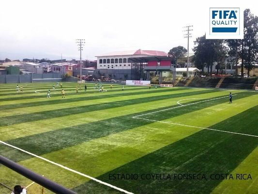 FIFA Sertifikalı 55mm Hav Yüksekliğinde, Az Bakım Gerektiren Futbol Sahaları için Yüksek Yoğunluklu Suni Çim