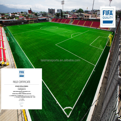 Yeşil Futbol Yapay Çim 5/8 "Kalimi PP + LENO Destek ve SBR Lateks Kaplama Yapışkan