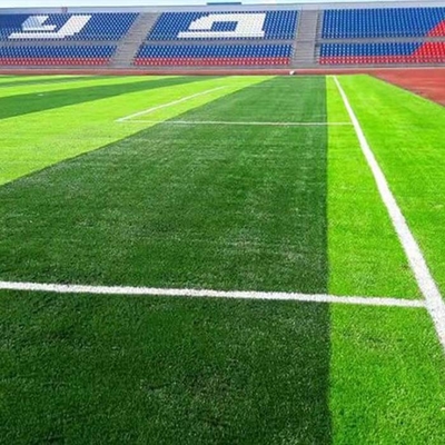 55mm 160 dikiş / M Futbol Yapay Çim Yüksek Performanslı UV Direnci FIFA tarafından sertifikalandırılmış Yapay Çim