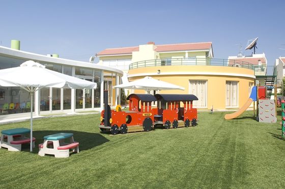 Doğal çim ile karışık döşeme için ultra yüksek aşınma direnciyle 25mm Yığın Yüksekliği Hibrit Yapay Çim Halısı