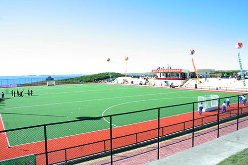 Yüksek Yoğunluklu Spor Suni Çim 18mm Golf Hokey Padel Çimi PP Malzeme PU Destek Harika UV Direnci
