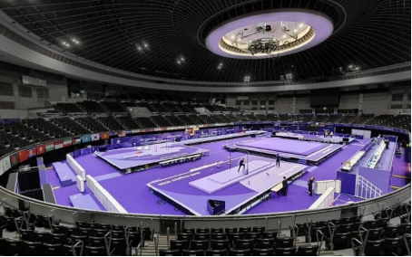 IWUF Certified Wushu Mat and Sports Equipment for Multi-Sport Application with 12000mm × 18000mm × 90mm Size