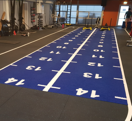 16mm Yığın Yüksekliği Kişisel Renk Şablonu ve Spor Salonu Fitnes için UV Direnciyle Çatlak Çim